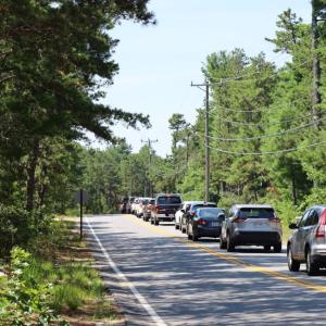 Cars lined up for nearly a half-mile past the Municipal Maintenance Department on Saturday, Aug. 1. Photo by Nick Mossman