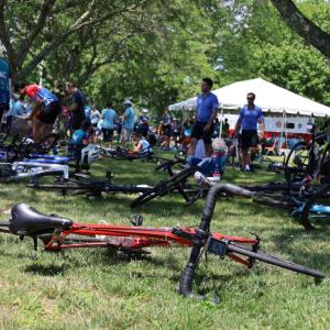 Bikes littered across the lawn