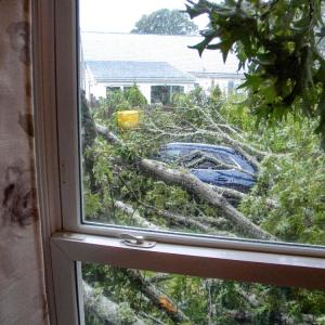 From inside the house, Mastria could see her car covered in branches.