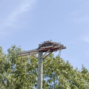 Eversource was able to build this platform on a support pole with no wires.