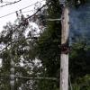 A hole burned into a utility pole on Cromesett Road on Monday, July 6, knocking out power to residents. Source: Laura Taylor