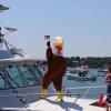 This eagle busted some moves during the annual Blessing of the Fleet in Onset on Saturday, July 4. Photos by Nick Mossman