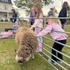 Children pet one of the rescue animals from Little Patch of Heaven animal sanctuary at the Harvest Moon festival Oct. 11. Photos by Tanvi Kulkarni